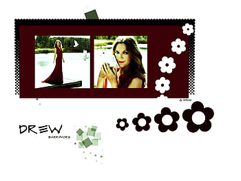 Romantic Flowers, drew barrymore, never been kissed, 50 first dates, fever pitch, charlies angels HD wallpaper