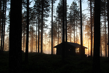 Cottage, trees, forest, silhouette HD wallpaper