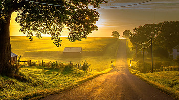 Sunlit Country Road, Roads, Countryside, Fields, Nature, Sunshine, Sky HD wallpaper