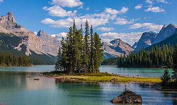 Lake Maligne, fun, cool, nature, forest, lake, mountain HD wallpaper