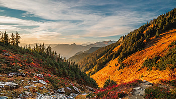 Mount Baker, North Cascades, Washington, trees, landscape, sky, usa, clouds HD wallpaper