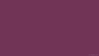 one colour solid color pink single plain HD wallpaper