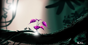 Love, Art, Gift, Present, Romance, Ants HD wallpaper