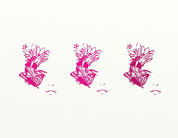 pink red flowers, pink, white, flowers, red HD wallpaper