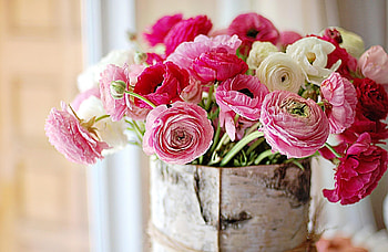 Flowers, Bouquet, Ranunkulus, Ranunculus, Birch Bark, Beresta HD wallpaper