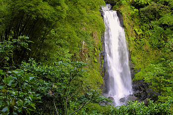 Trafalgar falls, Dominica, Franks travelbox, Natural wonder HD wallpaper