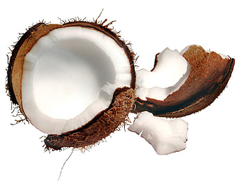 Food, Fruit, Coconut, Piece HD wallpaper