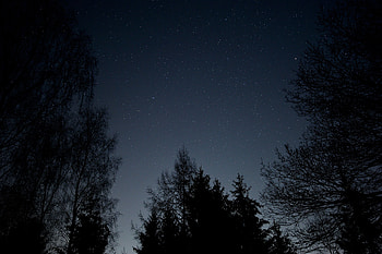 Nature, Stars, Night, Starry Sky, Branches, Bottom View HD wallpaper