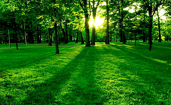 Large Size And, Large Nature HD wallpaper