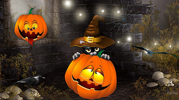 Black Cat Witch, black cat, scary, webs, goth, spooky, spider, skulls, witch, pumpkins, jack-o-lantern, raven, lights, Halloween, Gothic, bats HD wallpaper