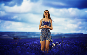 Brunette Girl In Field Of Blue Flowers, brunette, girls, model HD wallpaper