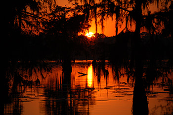 Swamp Sunset, Cajun Country, , Scene HD wallpaper
