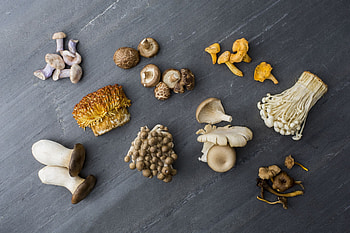 Edible mushrooms, Popular varieties, Culinary delight, Mushroom guide HD wallpaper