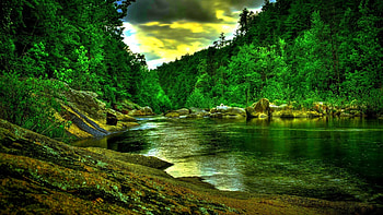 River, Go Green HD wallpaper