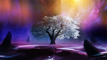 Tree of life, tree, purple, digital, boy, sparkling, colors, sun rays HD wallpaper