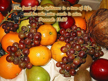The Fruit of the Righteous, scripture, oranges, grapes, fruit, verse, christian HD wallpaper
