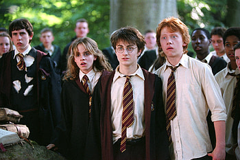 Rupert Grint, Matthew Lewis, Daniel Radcliffe, Emma Watson HD wallpaper