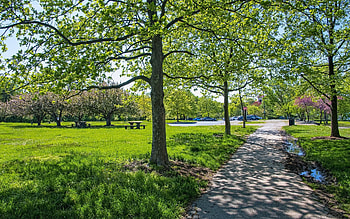 Spring in Baltimore, USA, trees, spring, America, park HD wallpaper