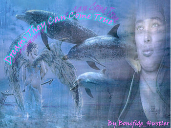 dolfin dreams, dolfins, backgrounds HD wallpaper