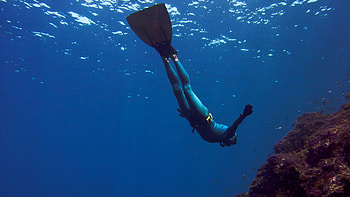 Monofin, diving HD wallpaper
