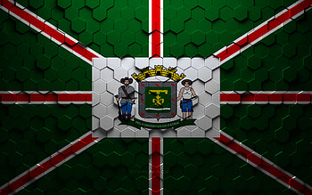 Flag of Goiania, honeycomb art, Goiania hexagons flag, Goiania 3d hexagons art, Goiania flag HD wallpaper