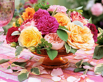 Lovely Flowers, colorful, flowers, bloom, petals HD wallpaper