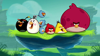 Angry Birds, Popular backgrounds, Fierce fowls, Bird HD wallpaper