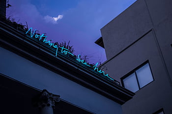 Low-angle shot of a neon sign reading 'Nothing to See Here' against a city night sky. HD wallpaper