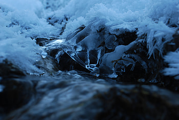 ice flowers, winter, folwers, water, ice HD wallpaper