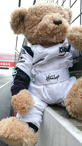 Teddy Wale, Big, Teddy Bear HD phone wallpaper