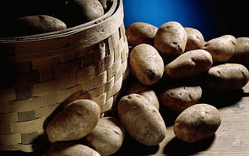 Potato , High definition, Background , Digital display HD wallpaper