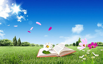 Summer Scenery, fields, summer, scenery, nature HD wallpaper