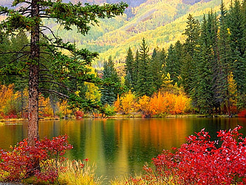 Beauty of Nature, cool HD wallpaper