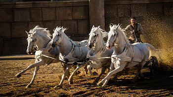 Ben Hur 2016, ben-hur, 2016-movies, movies, horses, horse HD wallpaper