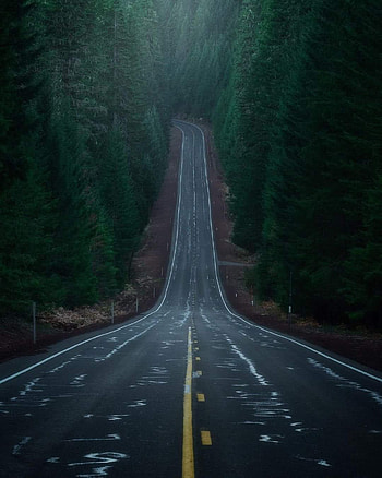 Oregon USA, green, natural_landscape HD phone wallpaper