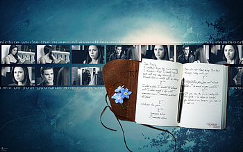 Vampire Diaries, damon, diaries, stefan, salvatore, vampire, elena gilbert HD wallpaper