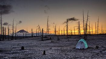 Nature, Sunset, Horizon, Tent HD wallpaper