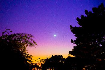 Trees, Sky, Stars, Night, Dark HD wallpaper