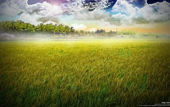 Magic Rees , magic, rees HD wallpaper