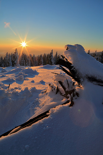 Drifts, Winter, Nature, Trees, Sunset, Snow HD phone wallpaper