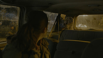 The Last of Us (2023), TV Show, The Last Of Us HD wallpaper