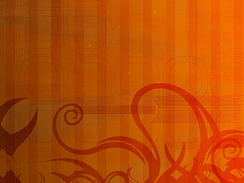 Citrus, burst, growing, orange, color burst HD wallpaper
