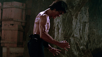 The Way of the Dragon, Enter the Dragon, Martial arts , Epic battles HD wallpaper