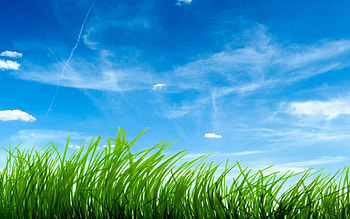 Background, Grass, Sky HD wallpaper