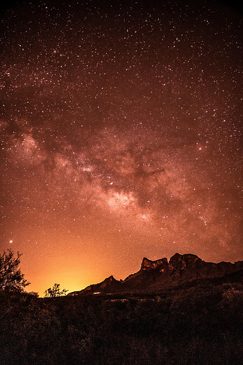 Nature, Stars, Bush, Rocks, Starry Sky HD phone wallpaper