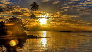 Nature, Sunset, Sun, Palms, Glare, Island, Bungalow HD wallpaper