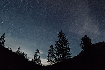Landscape, Trees, Night, Dark, Starry Sky HD wallpaper