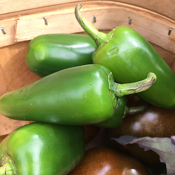 Chilli pepper early jalapeno, Early harvest chili, Zesty kick, Flavorful spice HD phone wallpaper