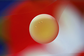 Abstract, Bubbles, Circle HD wallpaper