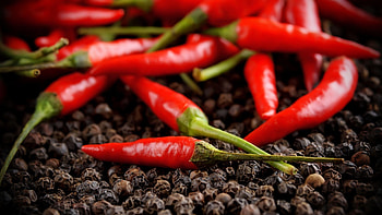 Capsaicin explosion, Chili , Spicy temptation, Zesty ingredient HD wallpaper